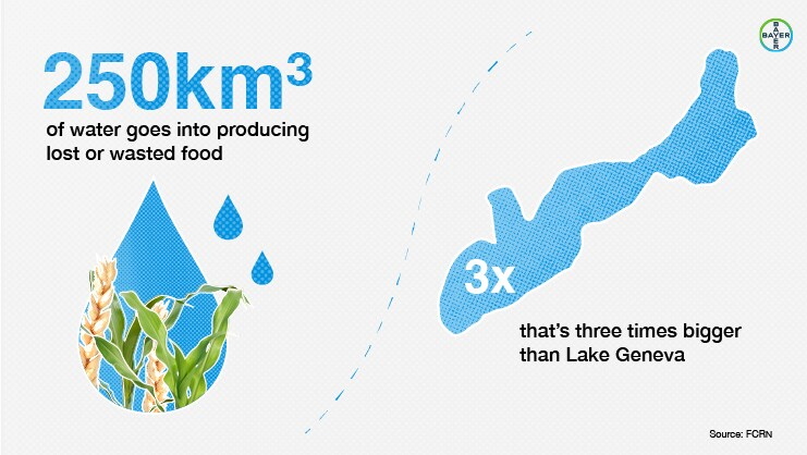 Infografik, die zeigt, dass 250 Kubikkilometer Wasser zur Produktion von Lebensmitteln verwendet werden, die letztendlich verloren gehen oder verschwendet werden, was dem Dreifachen des Volumens des Genfersees entspricht.