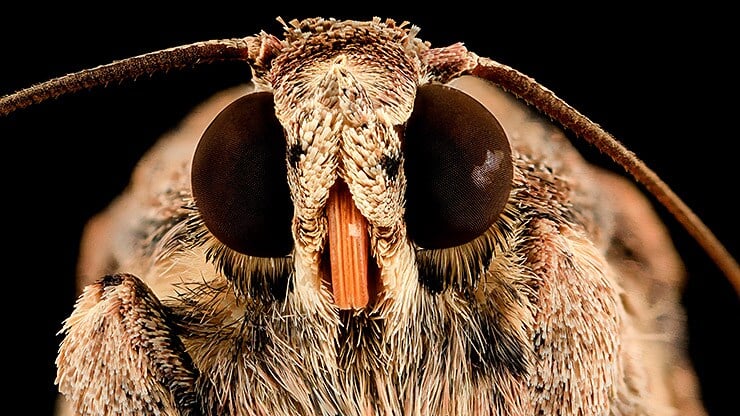 01-galerie02_worm_740x416.jpg