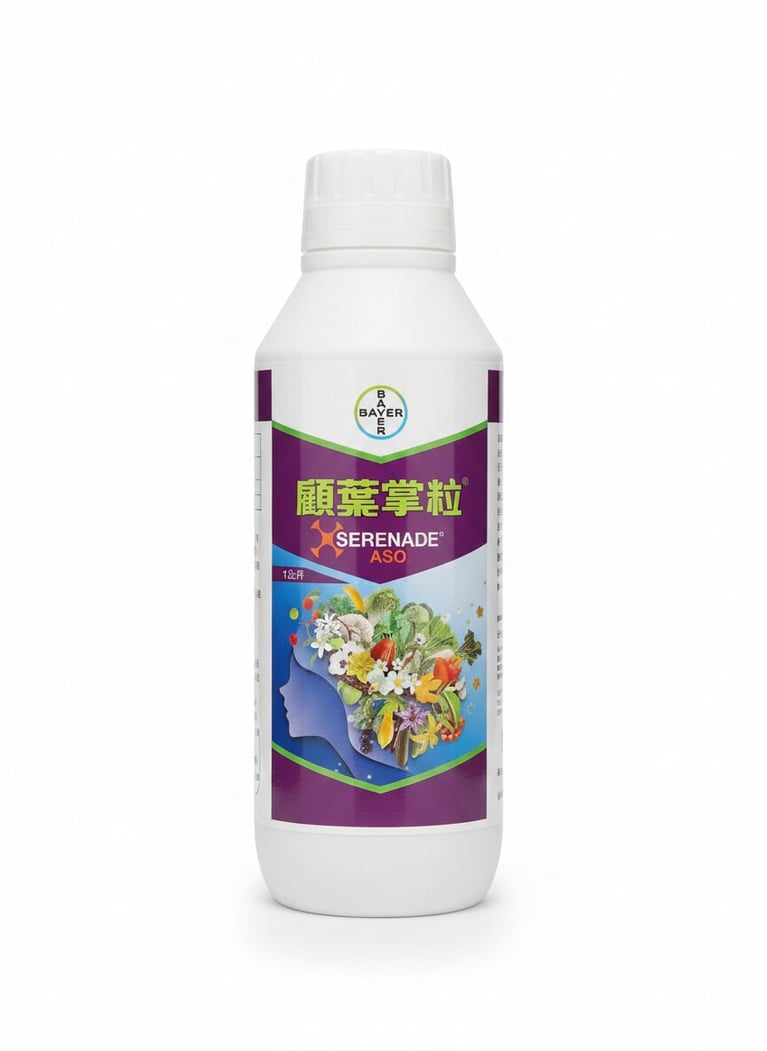 guyezhangli.png