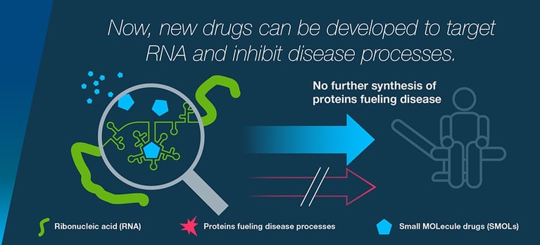 03_Bayer_Infografik_RNA_targeting_1100x500.png