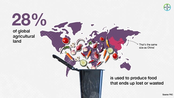 Infografik, die zeigt, dass 28 % der globalen landwirtschaftlichen Fläche für die Produktion von Lebensmitteln genutzt werden, die letztendlich verloren gehen oder verschwendet werden, eine Fläche vergleichbar mit der Größe Chinas.