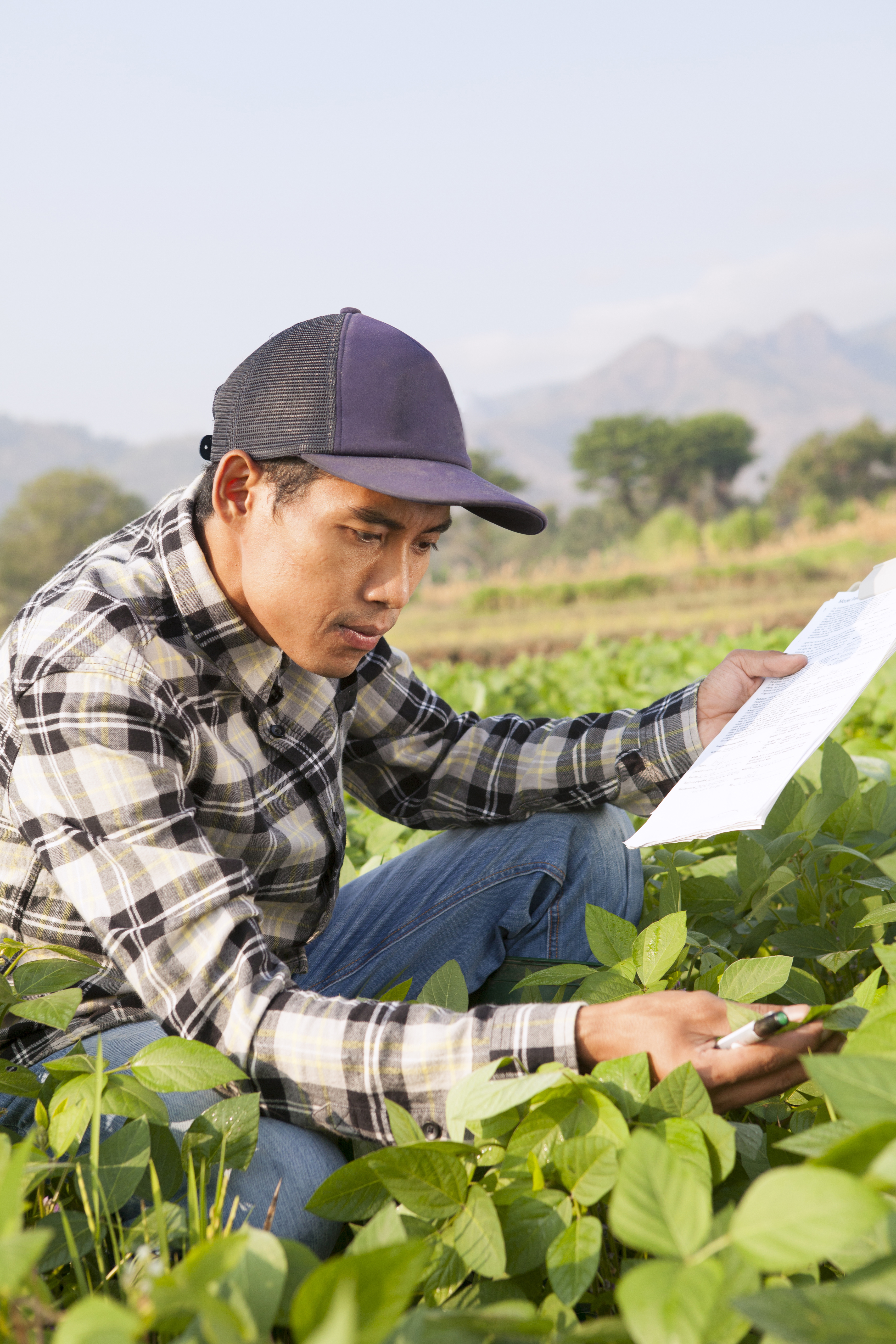 farmer_inspecting_crop_8.jpg