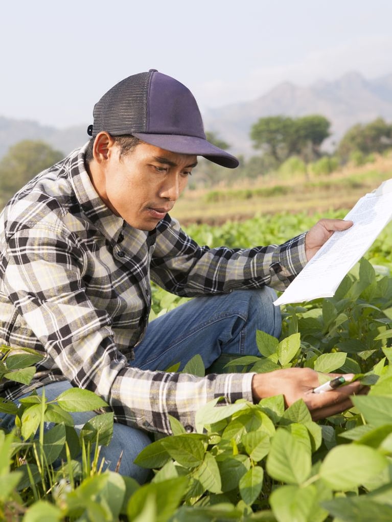 farmer_inspecting_crop_8.jpg