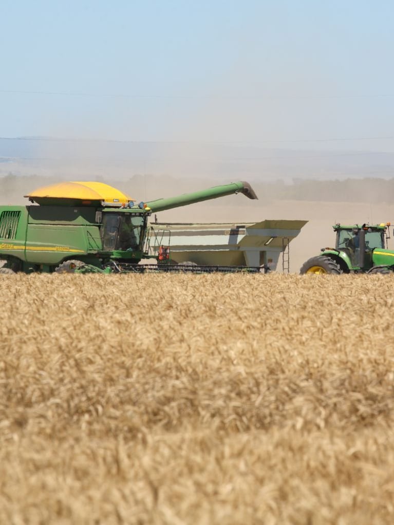 Julia header picture .jpg