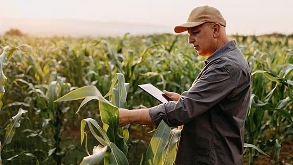 climate-fieldview.jpg