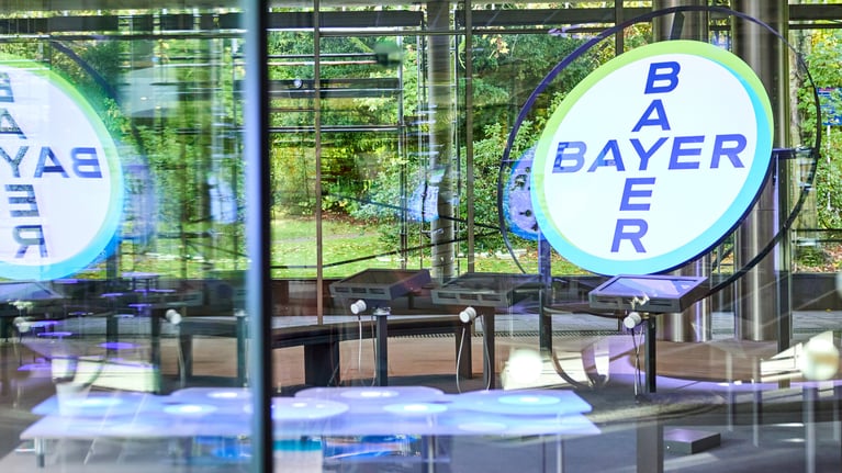 bayer-crosses-in-baykomm-3.jpg