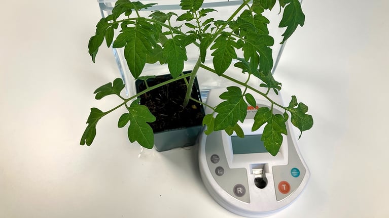 1200xplants-workshop.jpg