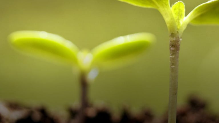 how crop protection saves 1280x650