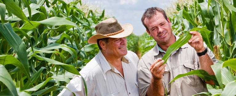 100246_Farmers_Day354_1440x590.jpg
