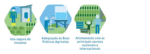 beneficios-baygap.jpg