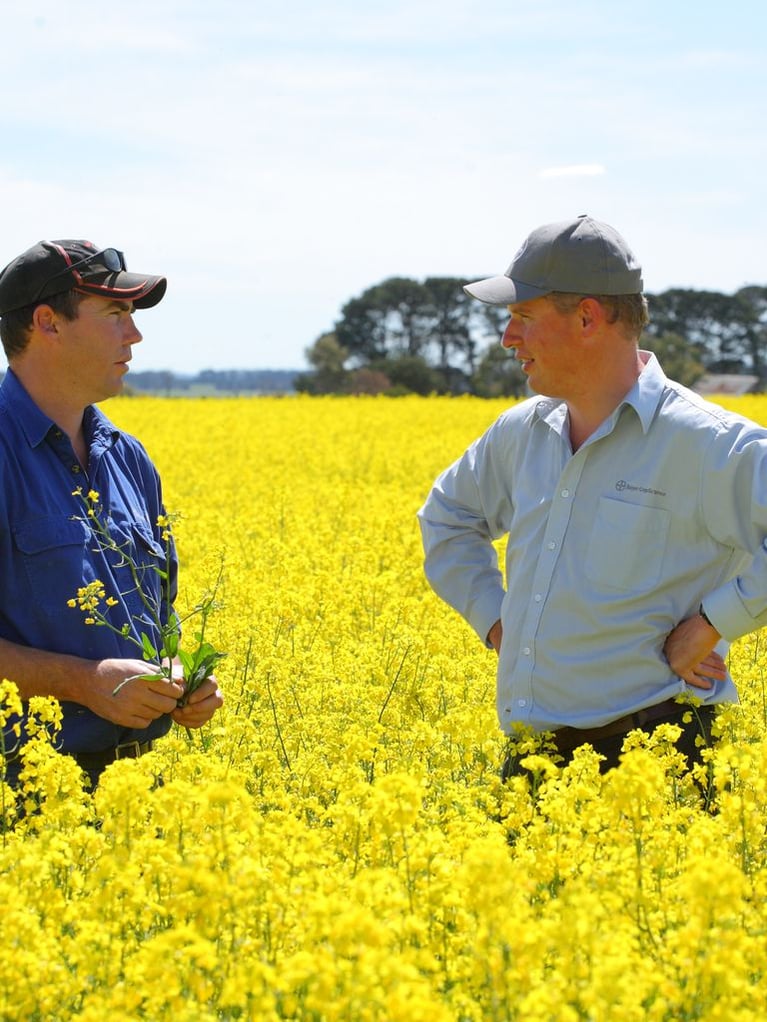 CS teaser picture.jpg