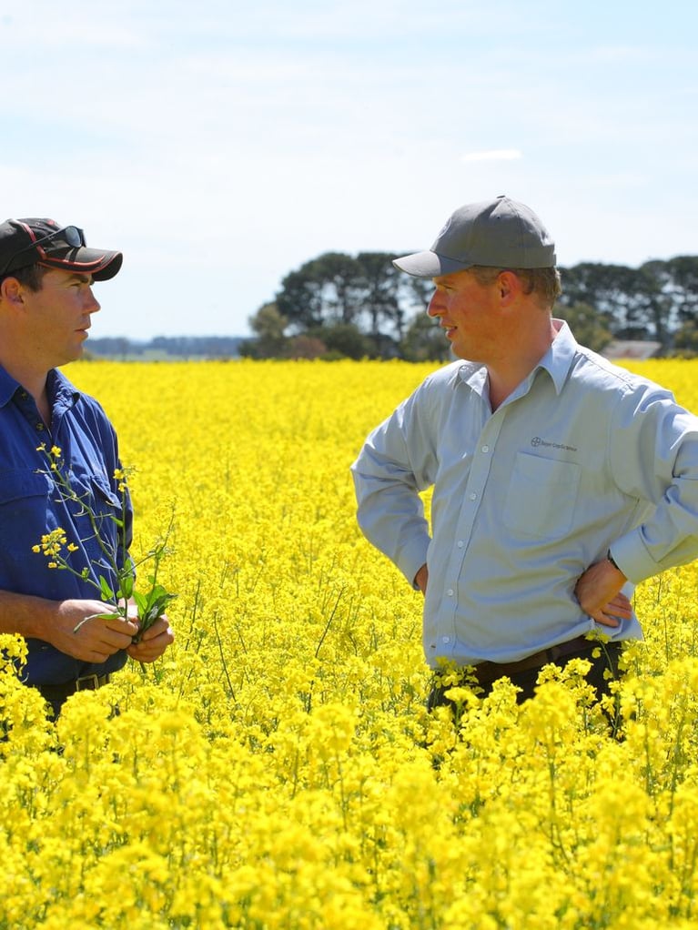 CS teaser picture.jpg