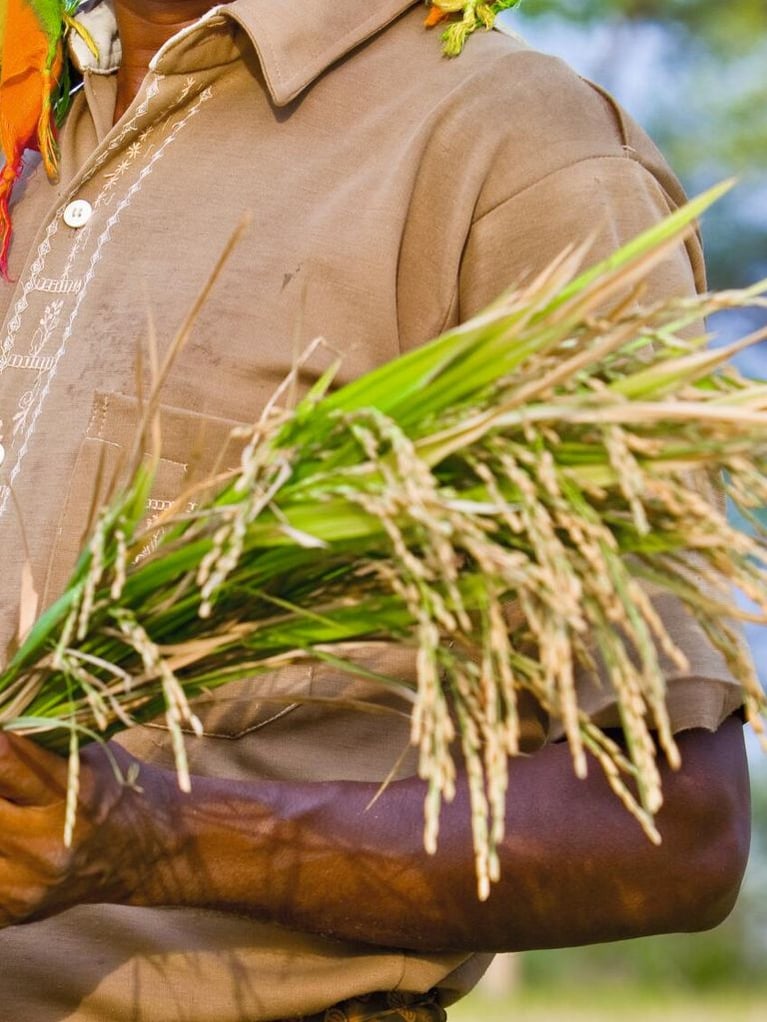 90835_indien055.jpg