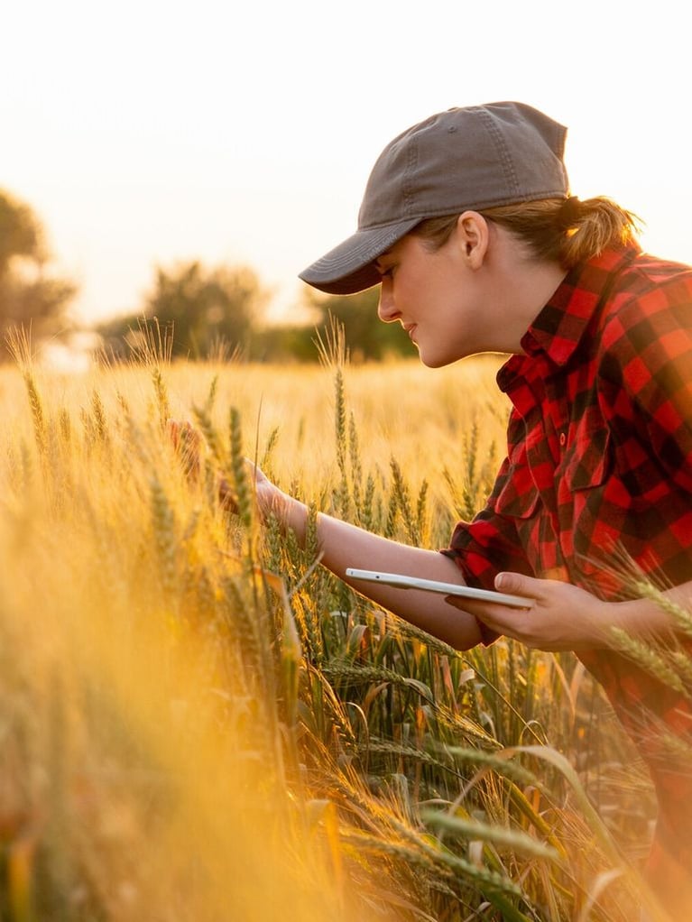 female farmer examining crop