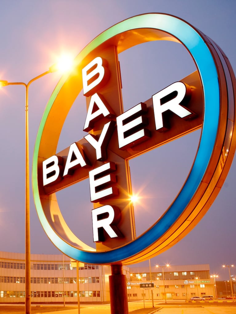 Bayer Cross in Shanghai 5