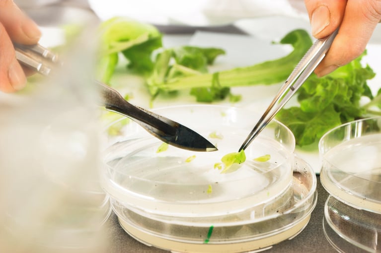 preparation of plant samples