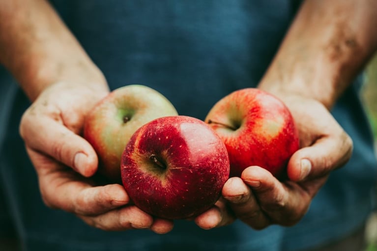 Hands holding apples 1280x720