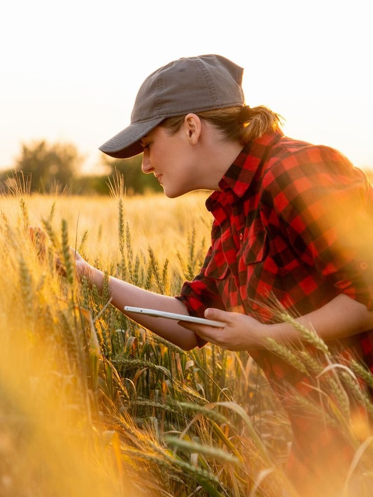 female farmer examining crop