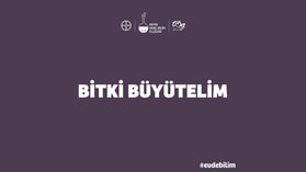 bitki-buyutelim_280_157.png