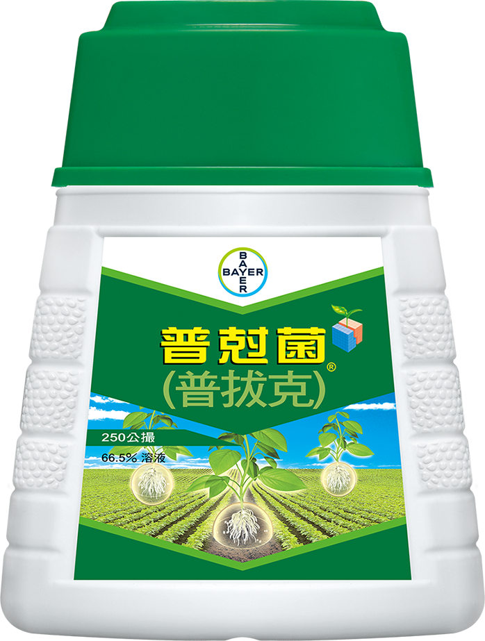 baiershajunjipukejunprevicur-2.png