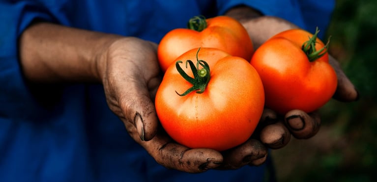2020_09_25_bayer_food_waste_headers_key_visual_1440x690.jpg