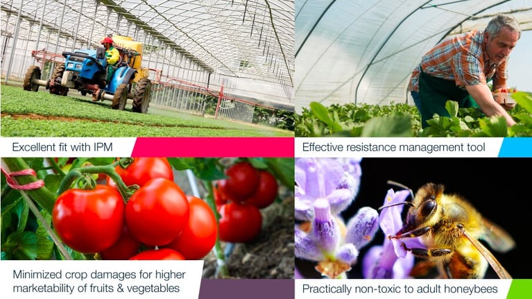 2023-01-30-bayer-banner-1-1_0.png