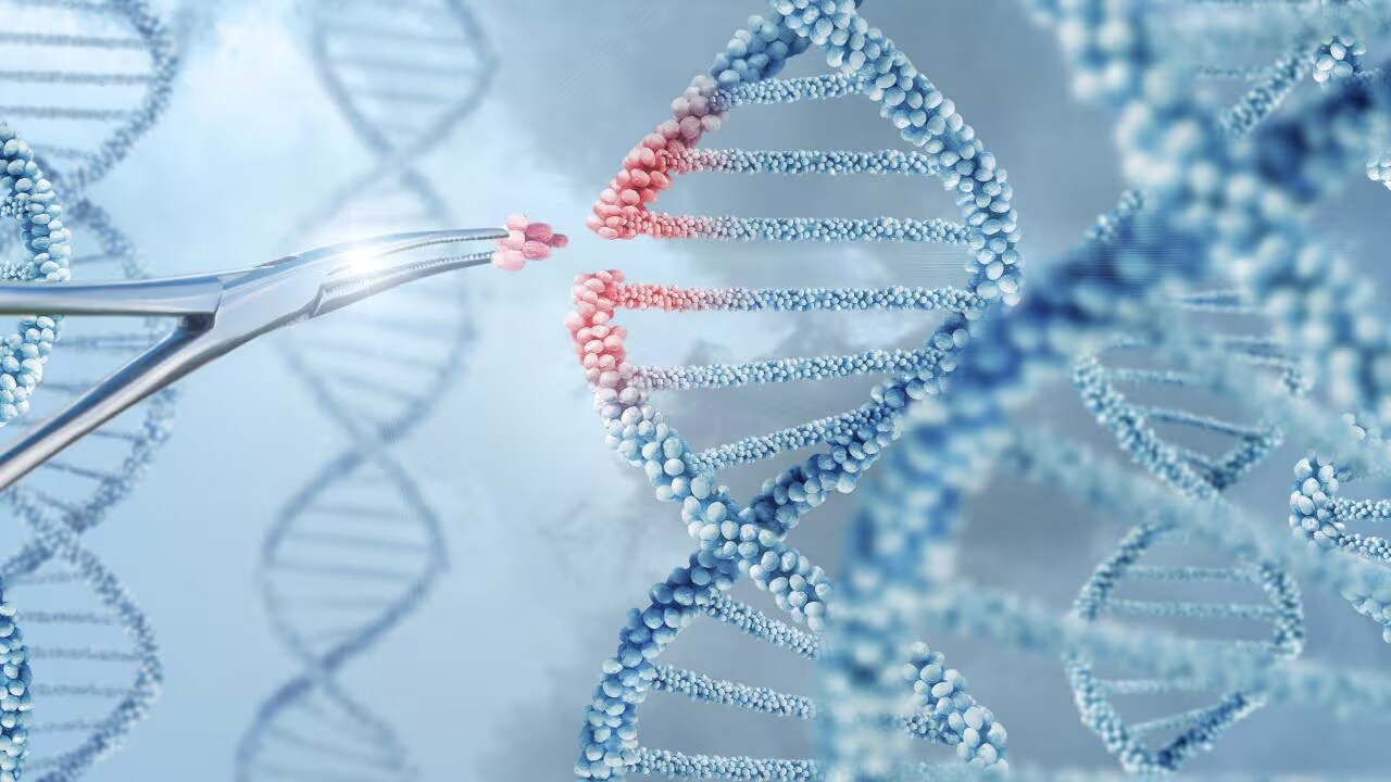 hand inserts molecule into dna 2