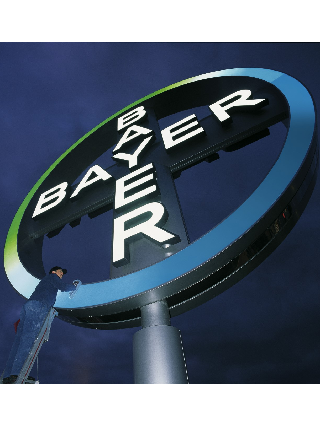 bayer-cross-3-4
