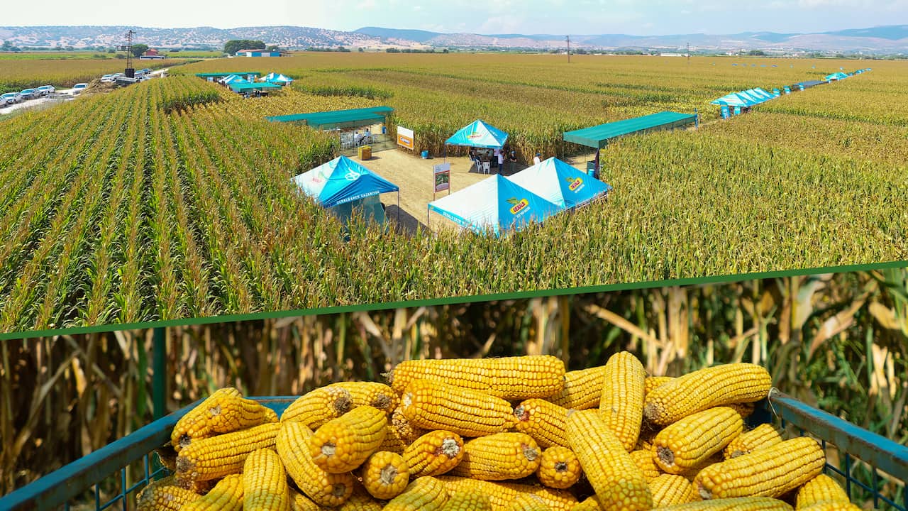 Bayer Agro Arena Etkinliği