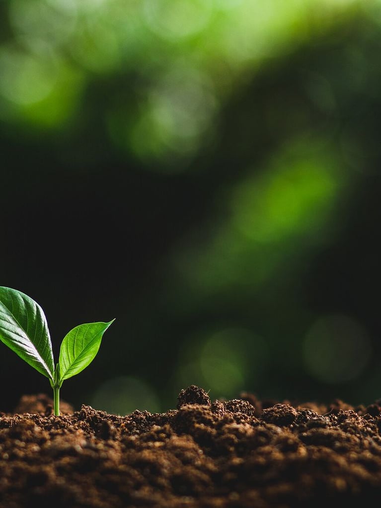 regenerative ag image