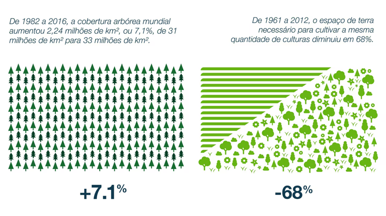 agricultura-moderna-03.png