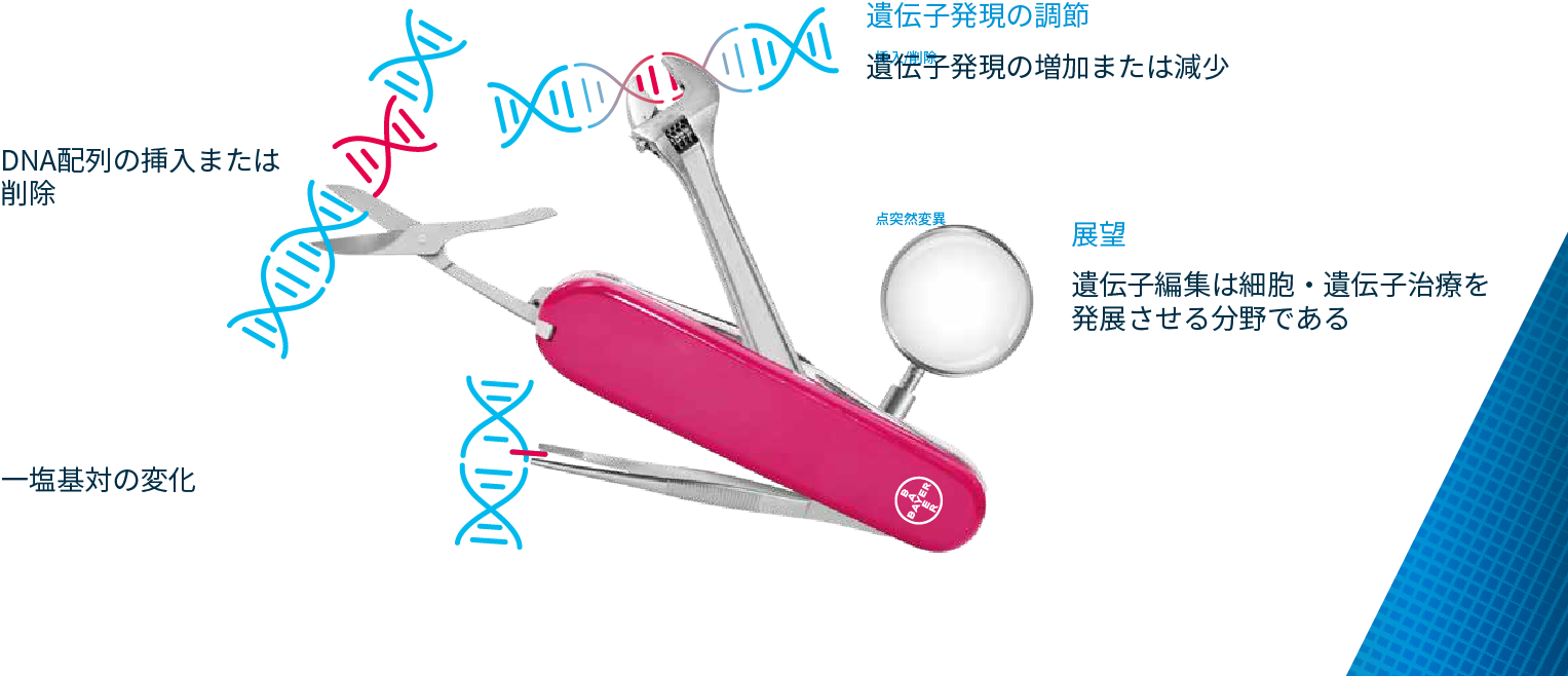 gene-editing-2.png