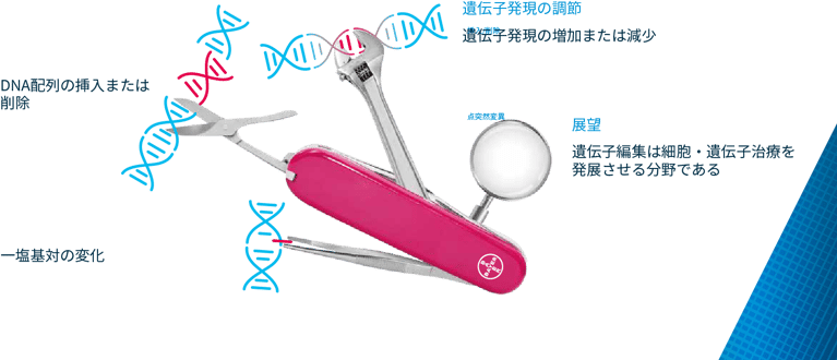 gene-editing-2.png
