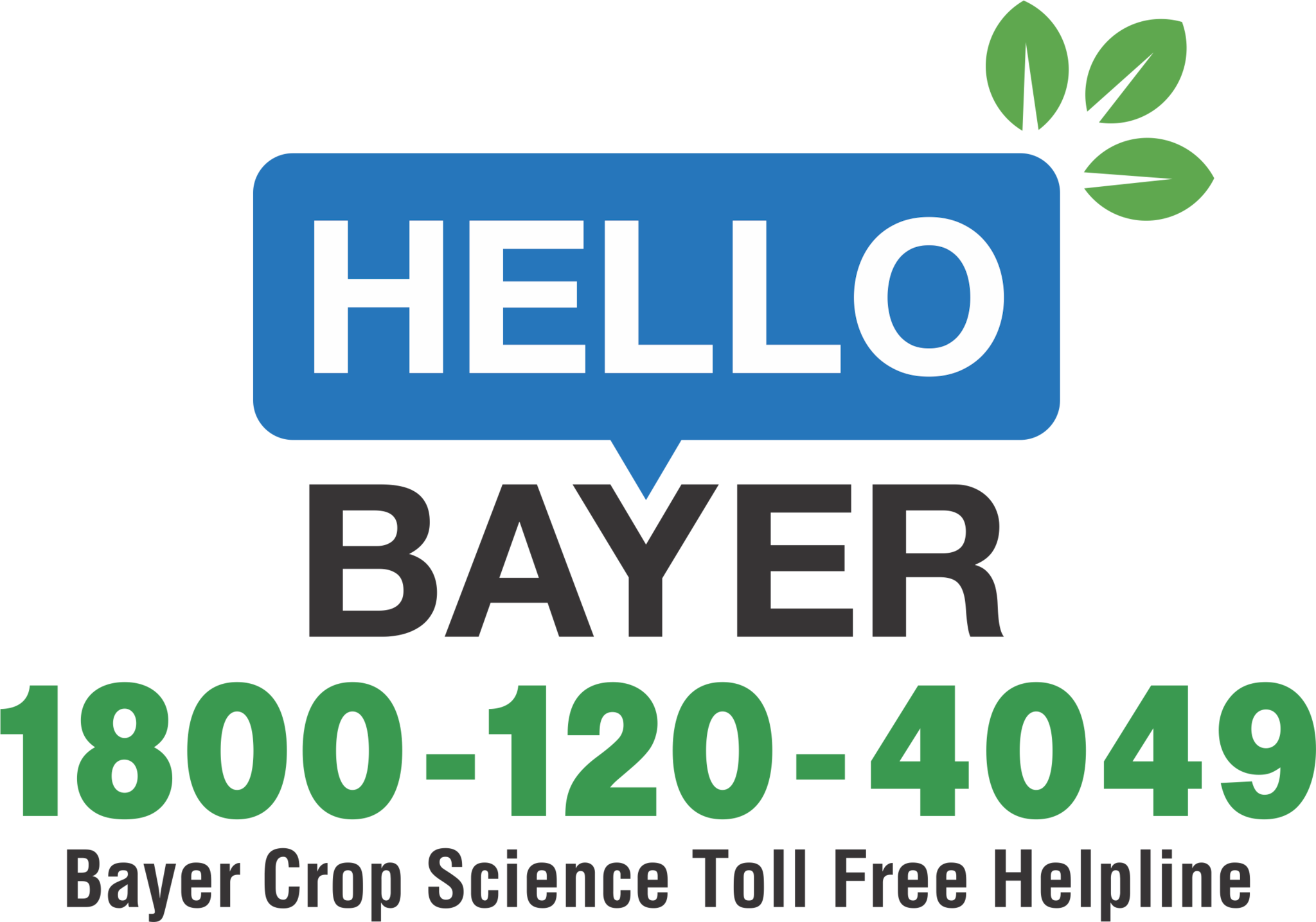 Hello bayer