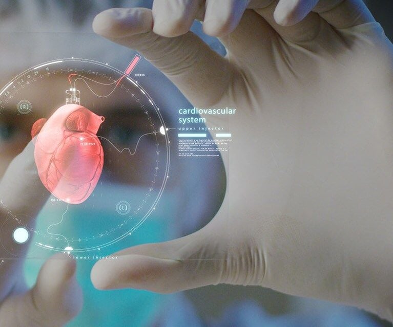 key-visual-cardiovascular-nephrology.jpg