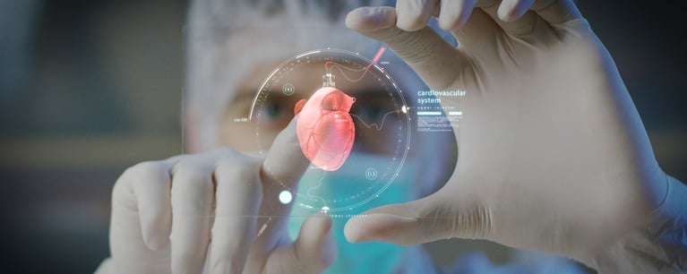 key-visual-cardiovascular-nephrology.jpg