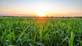 reducao-aumento-agricultura.jpg