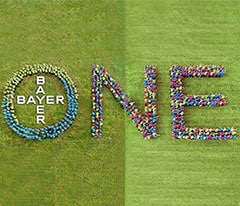 ONE Bayer 240