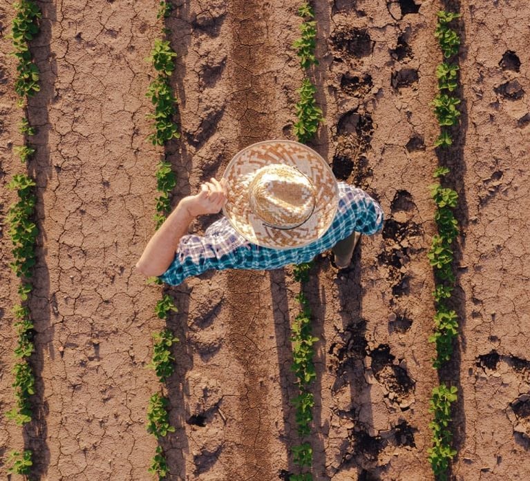 Farmer