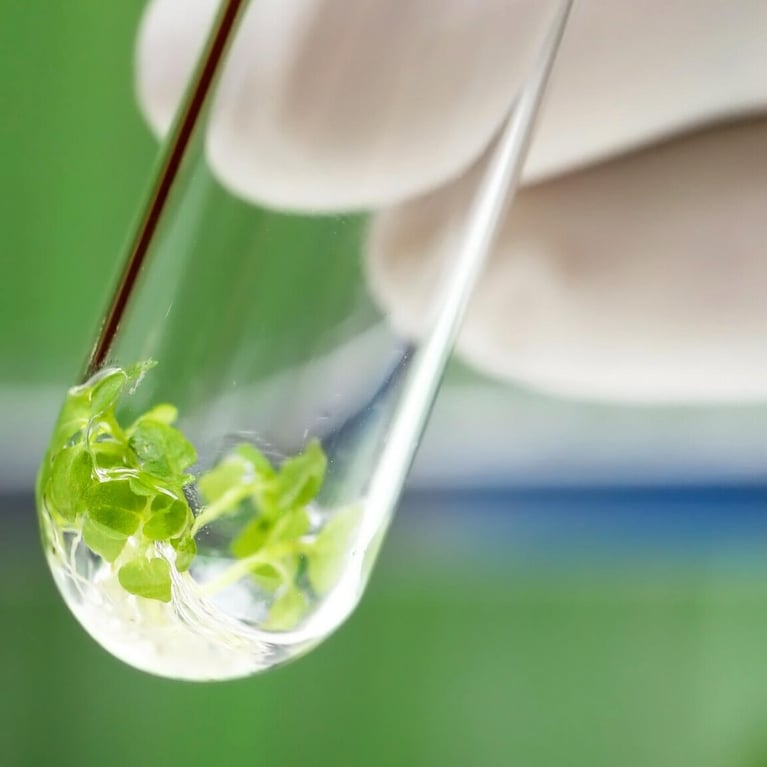 plant-in-test-tube-1.jpeg