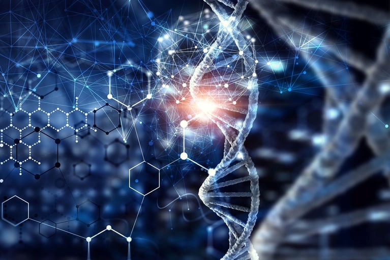 dna molecules