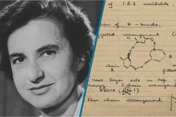 body rosalind franklin portrait notes dna doublehelix 1 0