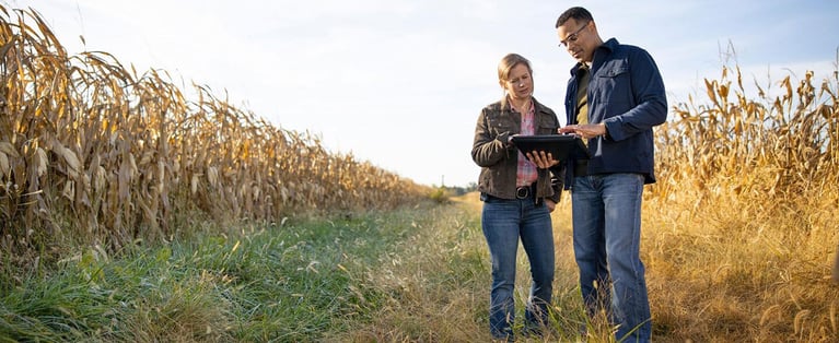 2Plant_experts_reviewing_data_in_a_cornfield_2.jpg