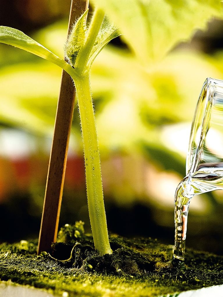 Crop Protection