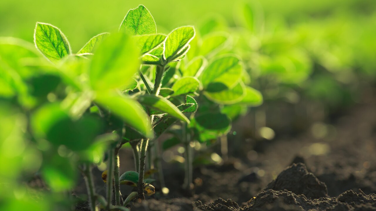 324-growing-plants.png