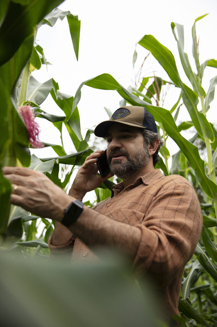 farmer_phoning_in_cornfield_2.jpg