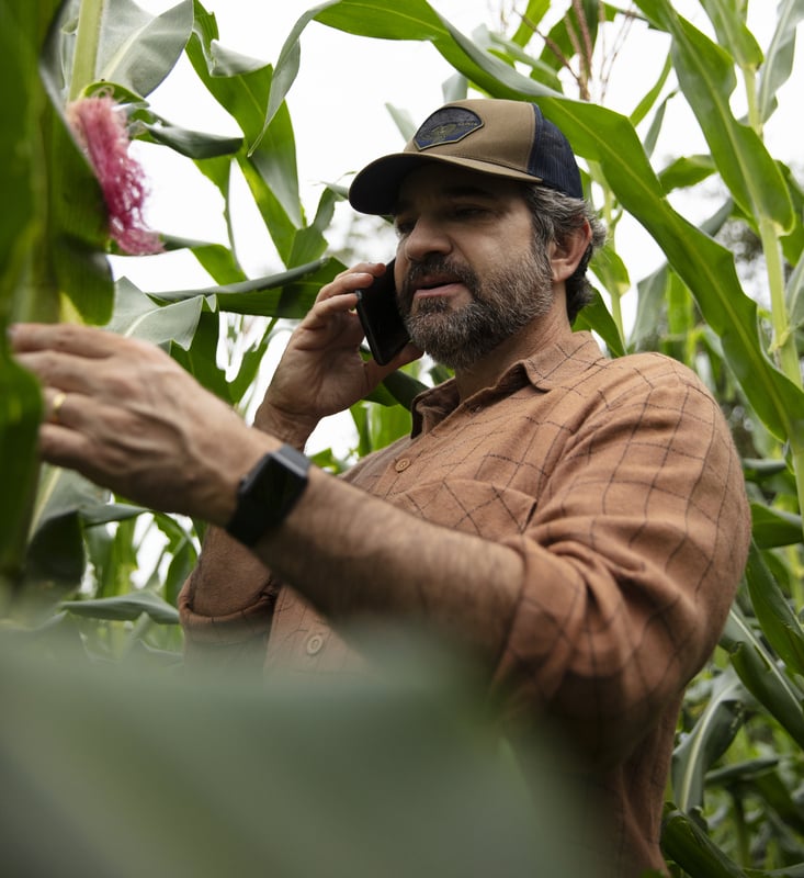 farmer_phoning_in_cornfield_2.jpg