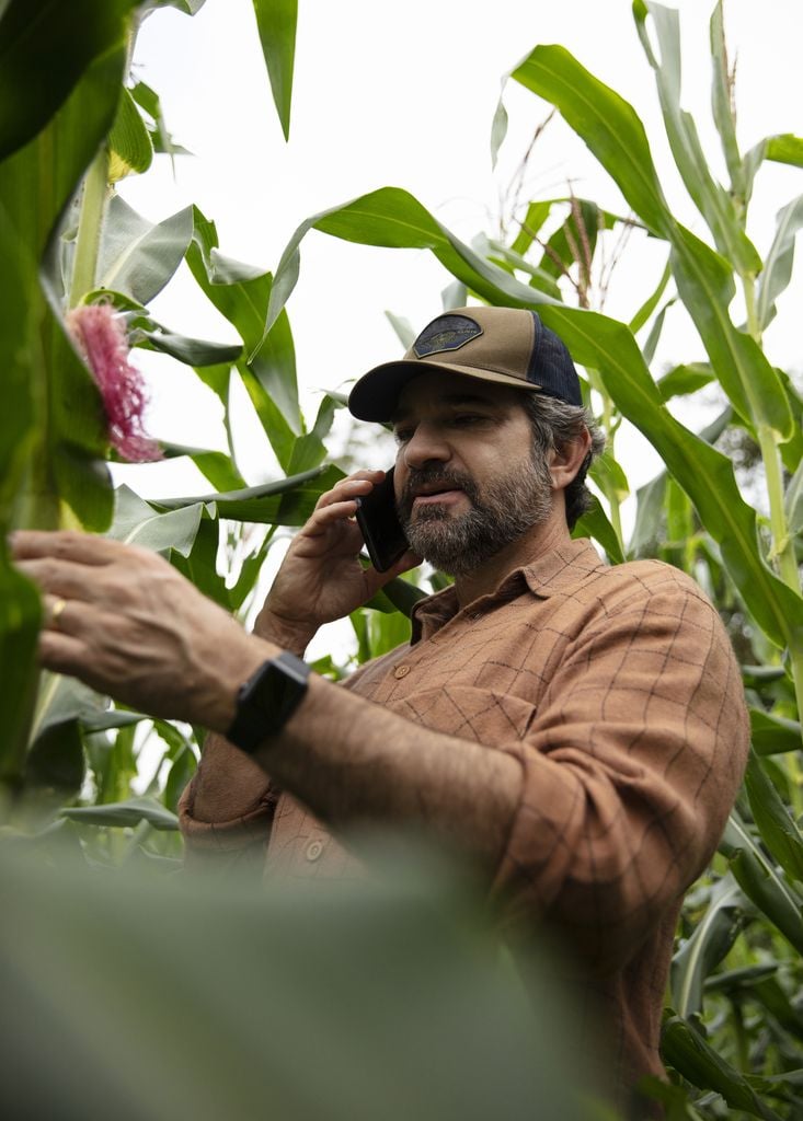farmer_phoning_in_cornfield_2.jpg