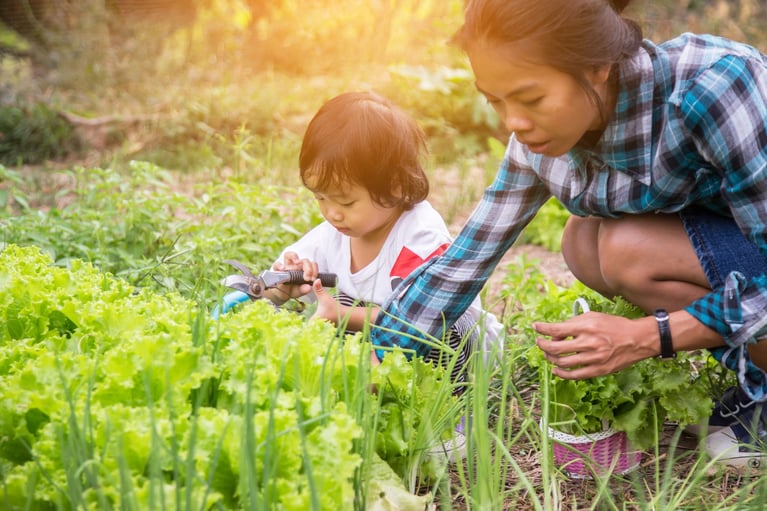 mother and child picking vegetable 0