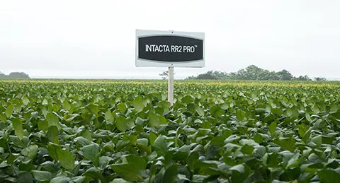 bayer-cropscience-compromissos-interna-2.jpg
